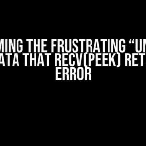 Overcoming the Frustrating “Unable to recv data that recv(PEEK) returned” Error